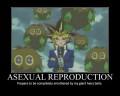 Cartoons Asexual Reproduction